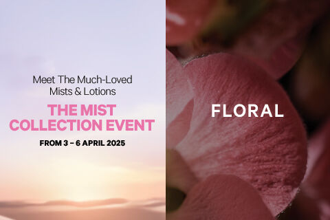 The Mist Collection Event