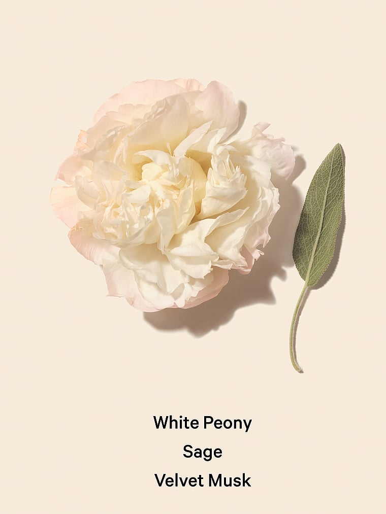 Bombshell Seduction 3.4 oz image number null