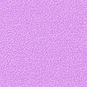 No-Show Lace-Trim Hiphugger Panty, Purple Paradise, swatch