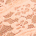 Lace Cheeky Panty, Sunlit Apricot, swatch